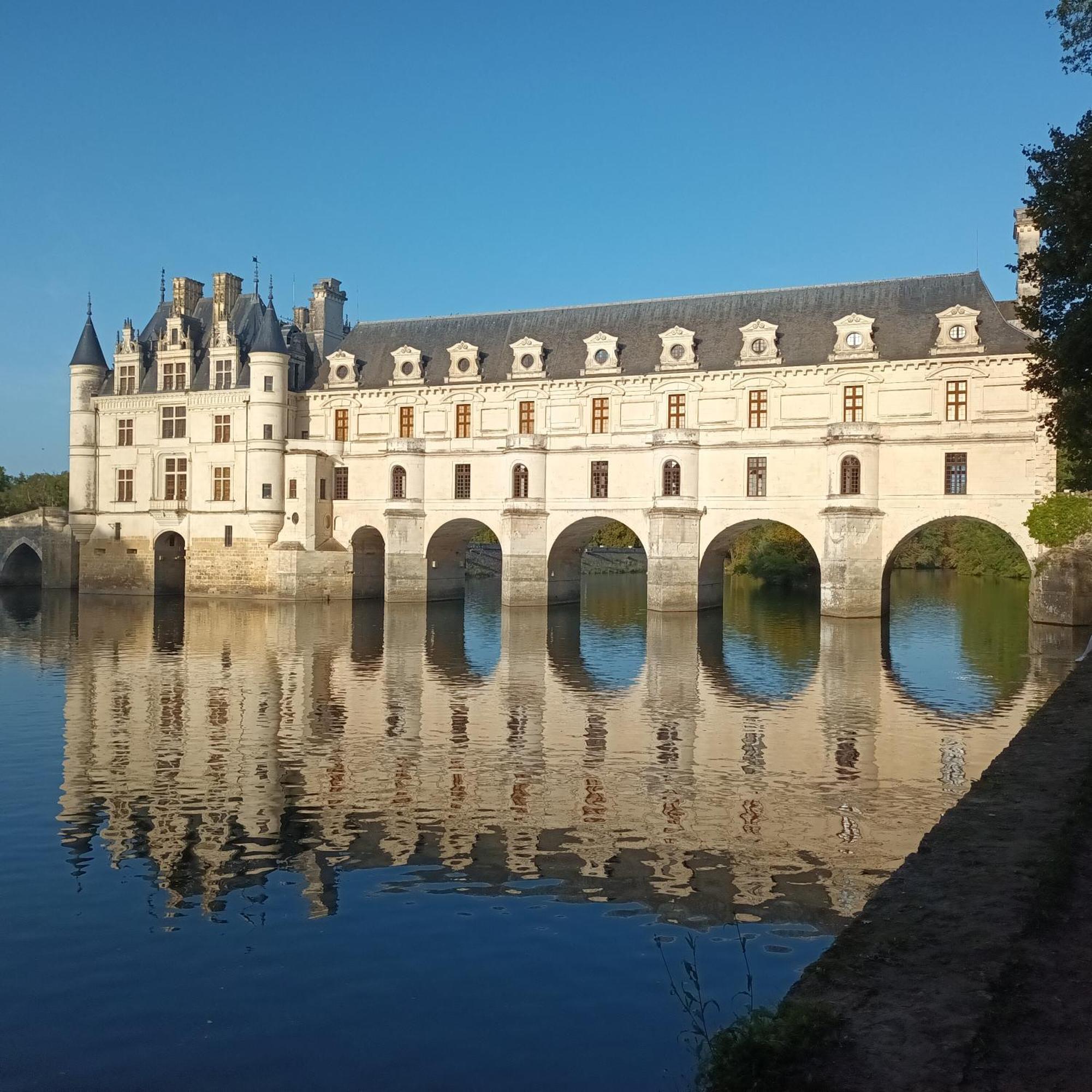 Au Nom Des Dames, Maison Et Table D'Hotes, Pres De Chenonceau Et Du Zoo De Beauval Faverolles-sur-Cher Luaran gambar